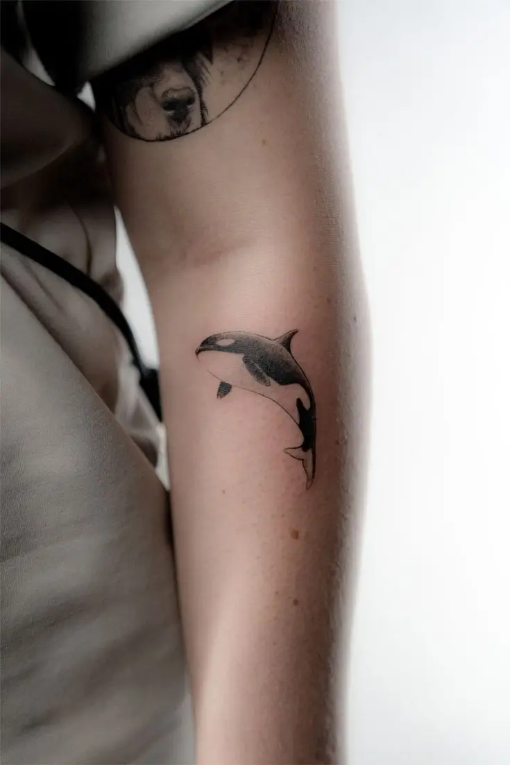Kleines realistisches Orca-Tattoo in Black and Grey am Oberarm